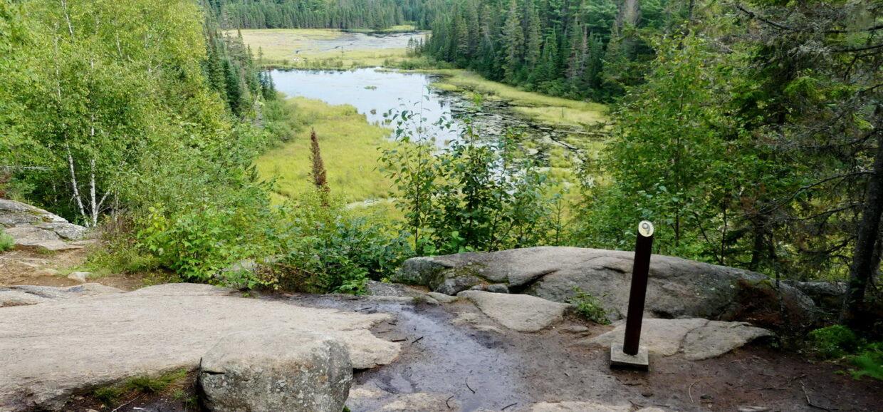Beaver Pond Trail in Algonquin Provincial Park, ON, Canada