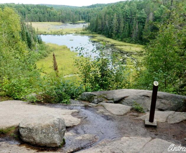 Beaver Pond Trail in Algonquin Provincial Park, ON, Canada